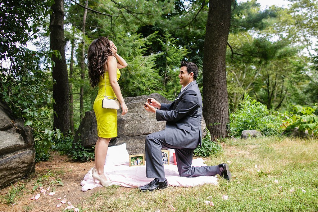 marriage proposal in park